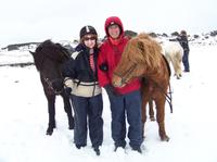 Viking Horse-Riding Tour and Blue Lagoon from Reykjavik