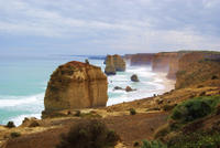 Great Ocean Road Small-Group Eco-Tour from Melbourne