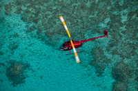 Great Barrier Reef Scenic Helicopter Tour and Cruise from Cairns