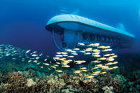 Kona Submarine Adventure and Royal Kona Resort Luau