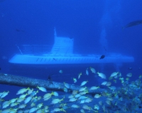 Oahu Atlantis Submarine Adventure