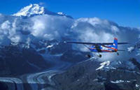 Denali National Park Flightseeing Tour from Talkeetna