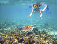 Turtle Reef Kayak Tour
