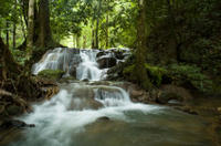 Full-day Krabi Hot Stream and Rainforest Tour