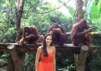 Singapore Zoo with Optional Breakfast with Orangutans