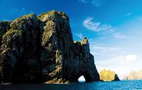 Bay of Islands Cape Brett 'Hole in the Rock' Cruise