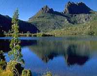 Cradle Mountain National Park Day Tour from Launceston