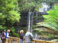 Mt Field National Park and Russell Falls from Hobart