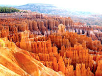 Bryce Canyon and Zion National Parks Small-Group Tour from Las Vegas