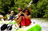 St Thomas Mangrove Lagoon Kayak and Snorkel Tour