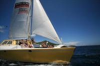 Catamaran Party Cruise to Nevis from St Kitts