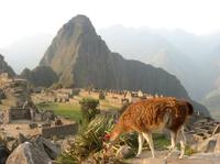 7-Day Lima and Cusco Tour with Overnight at Machu Picchu