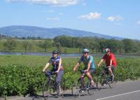 Wine Country Adventure: Bike and Kayak Wine Tour
