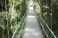 Roatan Shore Excursion: Hanging Bridges Eco Tour and Beach Break