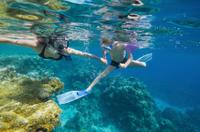 Bermuda Shore Excursion: Power Snorkel Adventure
