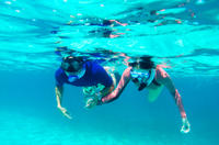 Power Snorkel Adventure in Bermuda
