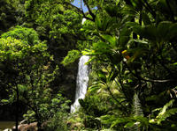 Small-Group Luxury Day Trip to Haleakala National Park and Hana Coast Rainforest