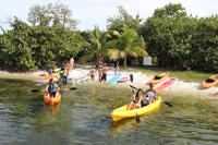 Kayak and Paddleboard Rental in Coconut Grove