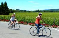 Wine Country Bike Tour and Picnic Lunch with Transport from San Francisco