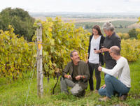 Small-Group Quebec Wine Tour from Montreal with Optional Gourmet Lunch and Cheese Tasting