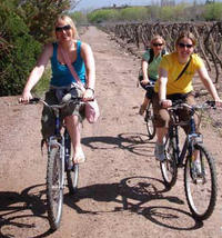 Bike Tour in Mendoza Wine Country