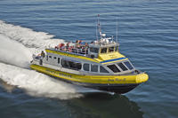 Best of Victoria Tour: Whale Watching, Butchart Gardens and Sunset Cruise from Vancouver