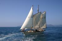 Tallship Sailing and Snorkeling Adventure from the Whitsundays
