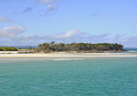 Fraser Island Day Trip from Hervey Bay
