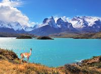 Full-Day Tour of Torres del Paine National Park from Puerto Natales