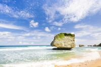 Barbados Scenic Tour Including Bathsheba Sunbury Plantation