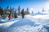 Whistler Snowshoeing Adventure with Optional Peak 2 Peak Ticket