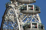London Eye and Thames River Sightseeing Cruise