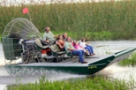 Private Airboat Tour with Alligator Encounter and Transport, Orlando, 