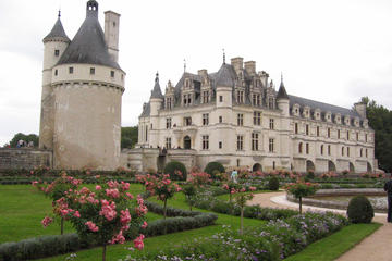 Loire Valley Castles Small Group Day Trip from Paris by Minivan