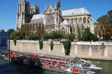 Paris City Tour by Minivan, Seine River Cruise and Lunch at the Eiffel Tower