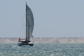 sahara catamaran sailing in dakhla 427550