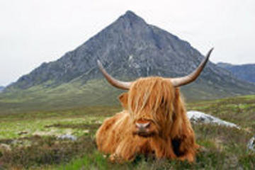 West Highland Lochs, Glencoe and Castles Small Group Day Trip from Glasgow