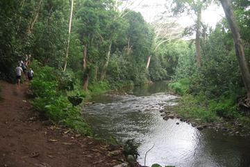 Wailua River and Secret Falls guided Kayak and Hiking Tour