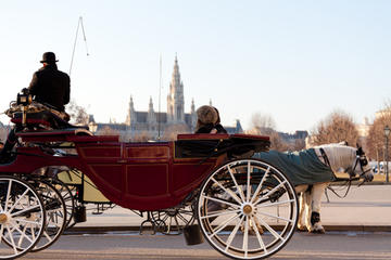 Romantic Vienna Combo: Vienna Card, Horse and Carriage Tour, Belvedere Palace and Candlelight Dinner