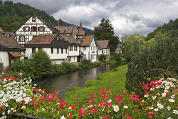 Black Forest and Rhine Falls Day Trip from Zurich