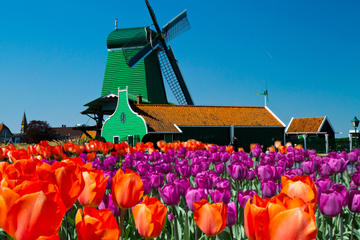 Amsterdam Super Saver 3: City Tour, Zaanse Schans Windmills, Volendam and Marken Day Trip