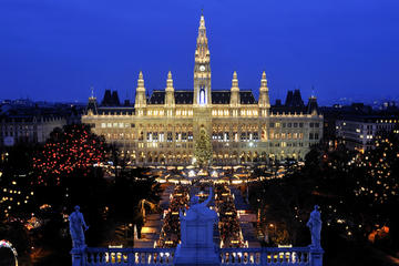 Vienna Evening Tour including Danube Tower Visit