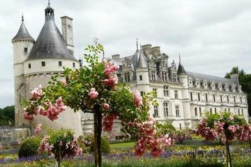 Skip the Line: Chateaux du Chambord, Chenonceau and Loire Valley Wine-Tasting Day Trip from Paris
