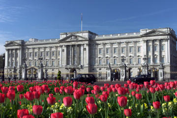 The Royal London Tour including Buckingham Palace