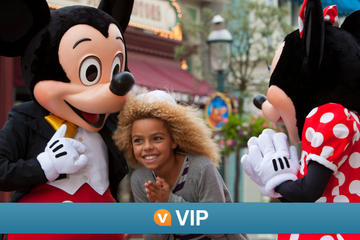 Viator VIP: Disneyland Paris with Premium Fastpass and Exclusive Dinner Experience
