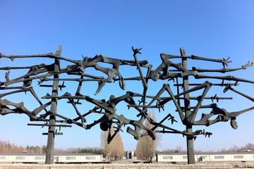 Private Tour: Dachau Concentration Camp Tour from Munich