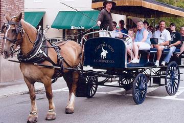 Historic Carriage Tour of Charleston