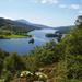 Highland Lochs, Glens and Whisky Small-Group  Day Trip from Edinburgh
