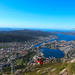 Bergen Shore Excursion: Bergen Hop-On Hop-Off Tour